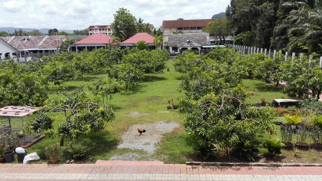 Harum Manis Country House Kangar Esterno foto